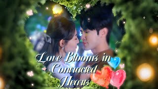 Love Blooms in Contracted Heartsdrama romanticdrama EP14 [upl. by Eecram]