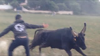 fête des vendanges à Saint Hilaire de Beauvoir 2016 [upl. by Gregoire662]