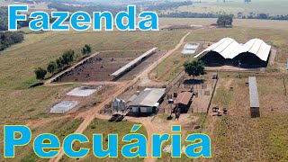 FAZENDA MODELO PARA PECUÁRIA  TODA ESTRUTURADA  Cod FA00184 [upl. by Yeo756]