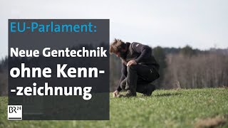 EUParlament Neue Gentechnik ohne Kennzeichnung  BR24 [upl. by Nodnerb]