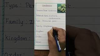 Cardamom Plant Botanical Facts and Specifications  Cardamom Interesting Scientific Details [upl. by Ibloc]