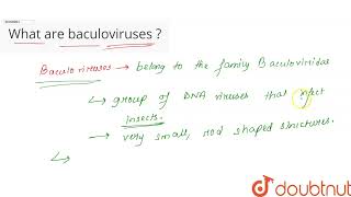 What are Baculoviruses  CLASS 12  MICROBES IN HUMAN WELFARE  BIOLOGY  Doubtnut [upl. by Einobe]