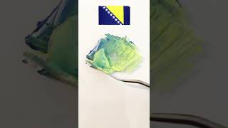 Bosnia and Herzegovina Flag  Satisfying Paint Mixing ASMR shorts paintmixing colormixing [upl. by Lamar793]