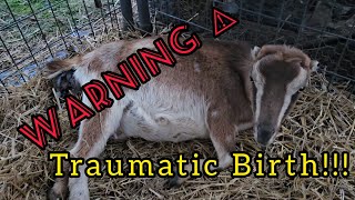 TRAUMATIC BIRTH‼️ [upl. by Christine]