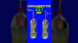 cigarette vs lungscigarette vs vape lungsvaping lungs vs cigarettes lungs [upl. by Crescin]