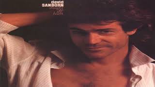 David Sanborn  Straight To The Heart [upl. by Ilyse]