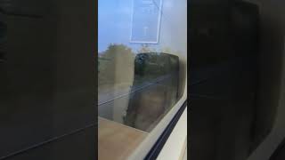 CROY TO POLMONT ON BORAD A SCOTRAIL HITACHI CLASS 385111 [upl. by Wesley]