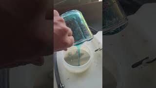 How to kill gypsy moths caterpillars without pesticides with dish soap guaranteed to work [upl. by Leonanie]