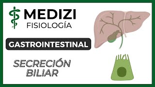 Clase 51 Fisiología Gastrointestinal  Secreción Biliar IGdoctorpaiva [upl. by Blanding]