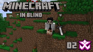 Il Diamante di Ego Balego  Minecraft in Blind 02 w Cydonia [upl. by Pebrook]