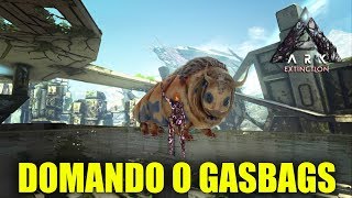 Como Domar e Habilidades Do Gasbags  Ark Extinction PT BR [upl. by Dunton]