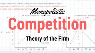 Monopolistic Competition [upl. by Eniamaj]