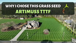 Lawn Tips for better fescue lawn  Why I chose this grass seed [upl. by Moscow509]