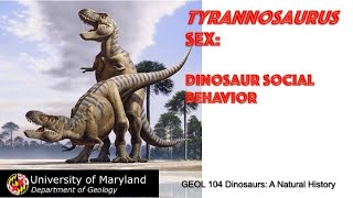 Lecture 30 Tyrannosaurus Sex Dinosaur Social Behavior [upl. by Enimzaj]