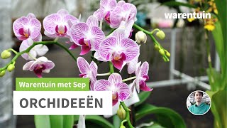 Alles over Orchideeën [upl. by Atteuqnas]