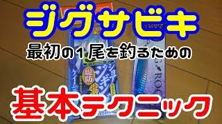 【ジグサビキ】初心者 の方必見 最初の１尾を釣るための簡単 基本テクニックをご紹介 ジグサビキ入門 [upl. by Rosette]