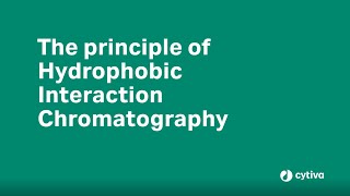 Principles of Hydrophobic Interaction Chromatography [upl. by Haleehs]