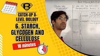 Starch glycogen and cellulose [upl. by Adas]