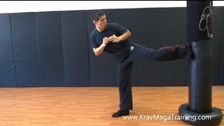 Krav Maga  Side Kick Tips to Improve Balance [upl. by Lamiv]