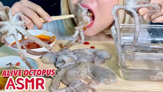 ASMR EATING ALIVE OCTOPUS 🐙EXOTIC FOOD กินปลาหมึกตัวเป็นๆสดๆ “ซันนักจี” 산낙지 먹방 4K고화질 [upl. by Aissila]