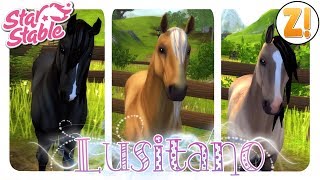 Star Stable SSO 3 neue Lusitanos PFERDEKAUF DEUTSCH [upl. by Lrae840]