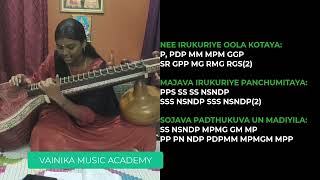 Water Packet Song Veena Tutorials  Rayaan  AR Rahman  Swram For Water Packet Song [upl. by Trimble]