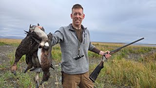 4 Days Hunting Ducks Geese amp Fishing Nome Alaska [upl. by Edlin]