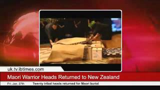 Maori Warrior Heads Returned to New Zealand [upl. by Leonelle]