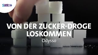 Wie komme ich erfolgreich vom Zucker los  SWR Wissen [upl. by Cirded]