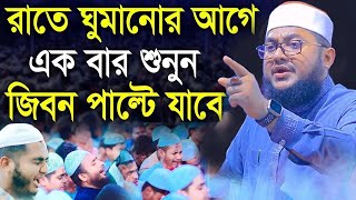 সাদিকুর রহমান আজহারী নতুন ওয়াজ ২০২৪ sadikur rahman azhari new waz 2024 Bangla Full Waz 2024 [upl. by Poll176]