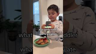 Last 10 min got cut off but go to my TikTok ✨whatmytoddlereats toddlermeals [upl. by Ardyth399]