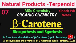 βCarotene  Biosynthesis and Synthesis STRUCTURE ELUCIDATIONS mscchemistrynotes carotenoids [upl. by Eesyak232]