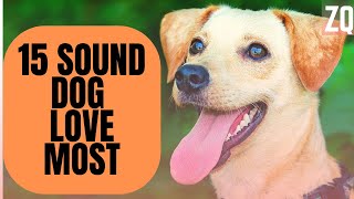 15 Sounds Dogs Love To Hear The Most  Sound Effects HD [upl. by Palla]