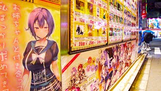 Akihabara in Tokyo 🐶🍻Night Anime Expedition♪💖4K ASMR nonstop 1 hour 03 minutes [upl. by Christina660]