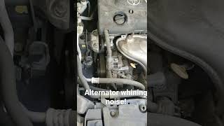 Alternator whining noise [upl. by Ahsiem]