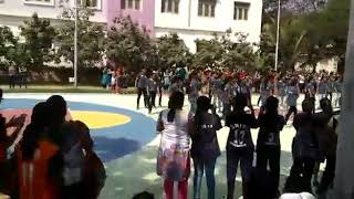 Celebrations in GNarayanamma Engineering CollegePart 1 │ GNITS celebrations [upl. by Bank]