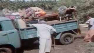 Unarumee Ganam  Moonnam Pakkam  Malayalam Film Song [upl. by Asiuol111]