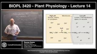 BIOPL3420  Plant Physiology  Lecture 14 [upl. by Leamsi]