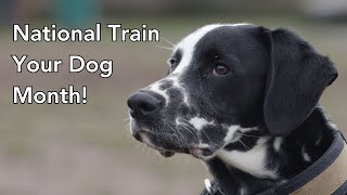 Its National Dog Training Month [upl. by Yanarp]