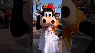 Clarabelle Cow Dancing at Disney California Adventure californiaadventure disney [upl. by Wexler]