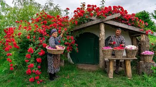 🌹 Traditional Rose Jam Homemade Recipe from Fresh Roses [upl. by Katuscha222]