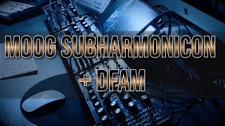 Moog Sound Studio DFAM amp Subharmonicon jam [upl. by Ailasor792]