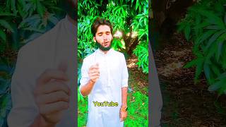 Tum humain viral hongy sa nahe rok sakta vloging funny youtubevloggers [upl. by Aleemaj]