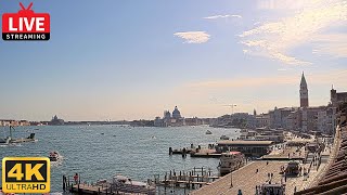 4K Live Webcam Venice  St Marks Basin in Live Streaming from Tribute to Music Venice [upl. by Noslen]