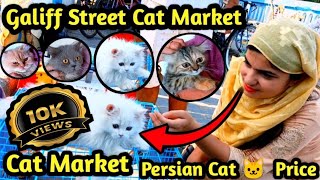 Galiff street pet market Kolkata Recent Persian cat 🐱🐱 Price update Persian Cat Galiff Street [upl. by Ner]