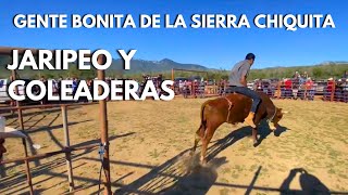 Jaripeo y coleaderas en la Sierra Chiquita  Saludando a toda la gente que estuvo presente🐎🤠 [upl. by Tahmosh]