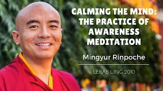 Mingyur Rinpoche  Calming the Mind The Practice of Awareness Meditation [upl. by Aikal657]