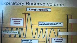 Lung Capacity Spirogram [upl. by Fesoj]