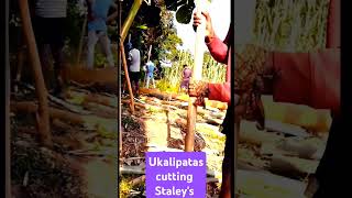 Art of Ukalipata Mastering Cutting Techniques [upl. by Anyk]