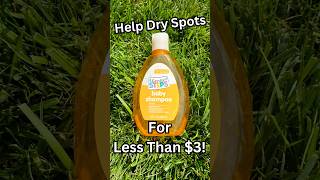 Use This Lawn Care Hack To Fix Dry Spots In Your Lawn [upl. by Ahsiki]